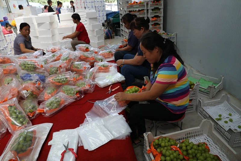 9428cn太阳集团古天乐