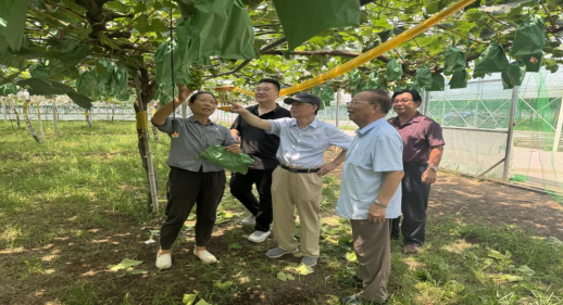9428cn太阳集团古天乐