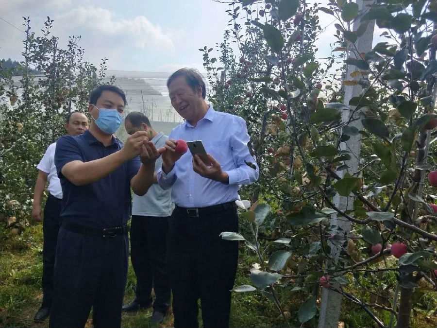 9428cn太阳集团古天乐