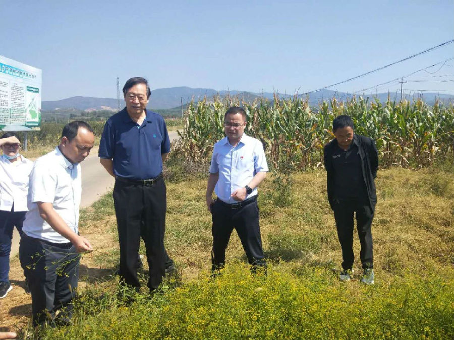 9428cn太阳集团古天乐