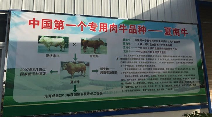 9428cn太阳集团古天乐